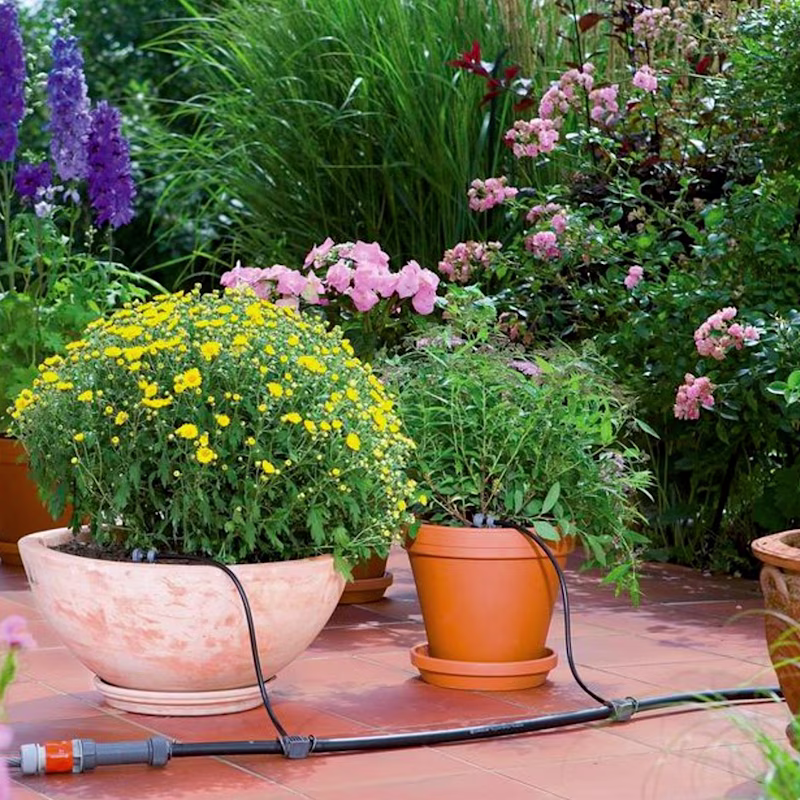 Alles over tuinplanten Alles over tuinplanten