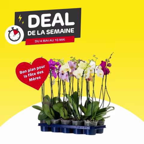 Deal de la semaine