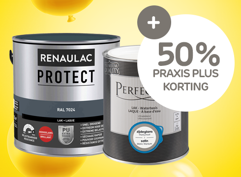 Renaulac en Perfection lakken | Praxis Plus 5 jaar