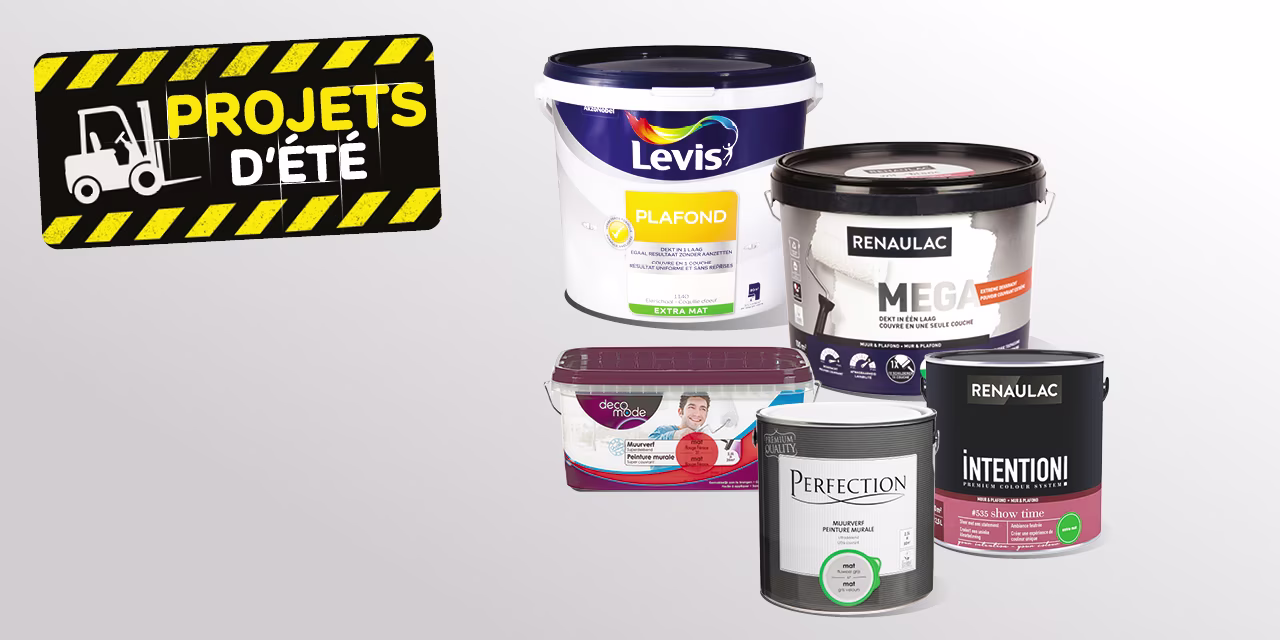 Promo Brico peinture