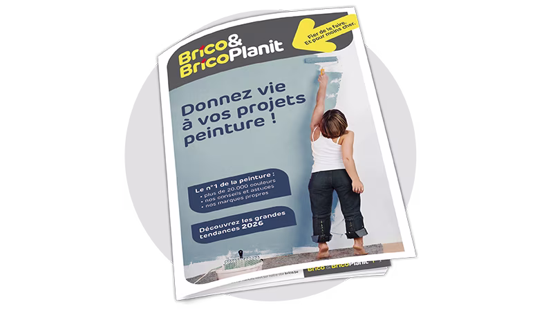 Couverture du magazine peinture