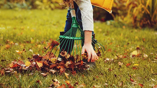 seizoen herfst