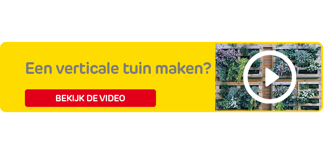 Stappenplan verticale tuin maken