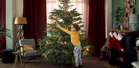 De mooiste kerstbomen voor de laagste prijs bij Praxis