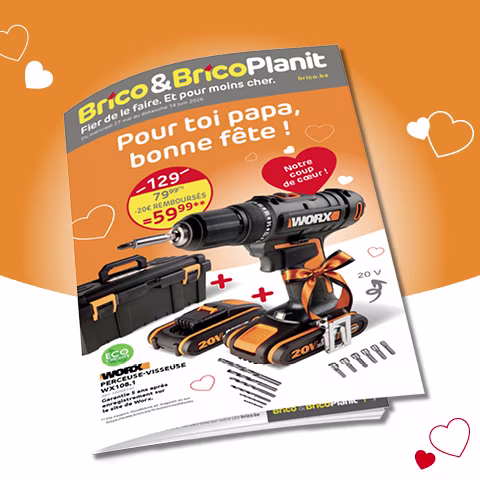Promo Brico perceuse-visseuse Worx