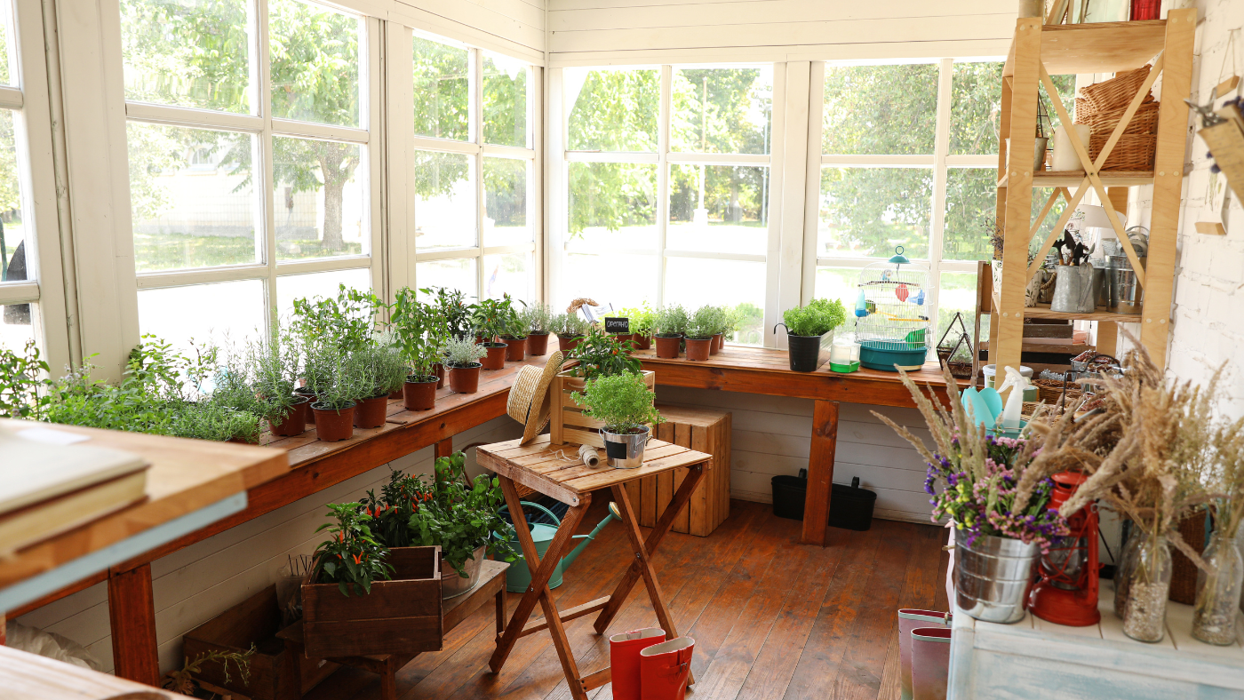 Planten binnen in de veranda | Plantes à l'intérieur de la véranda
