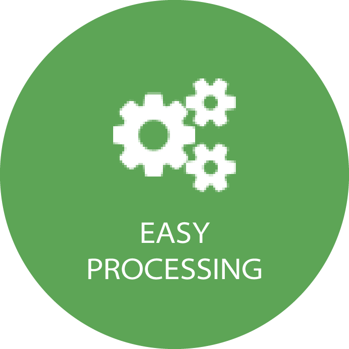 Easy Processing Icon