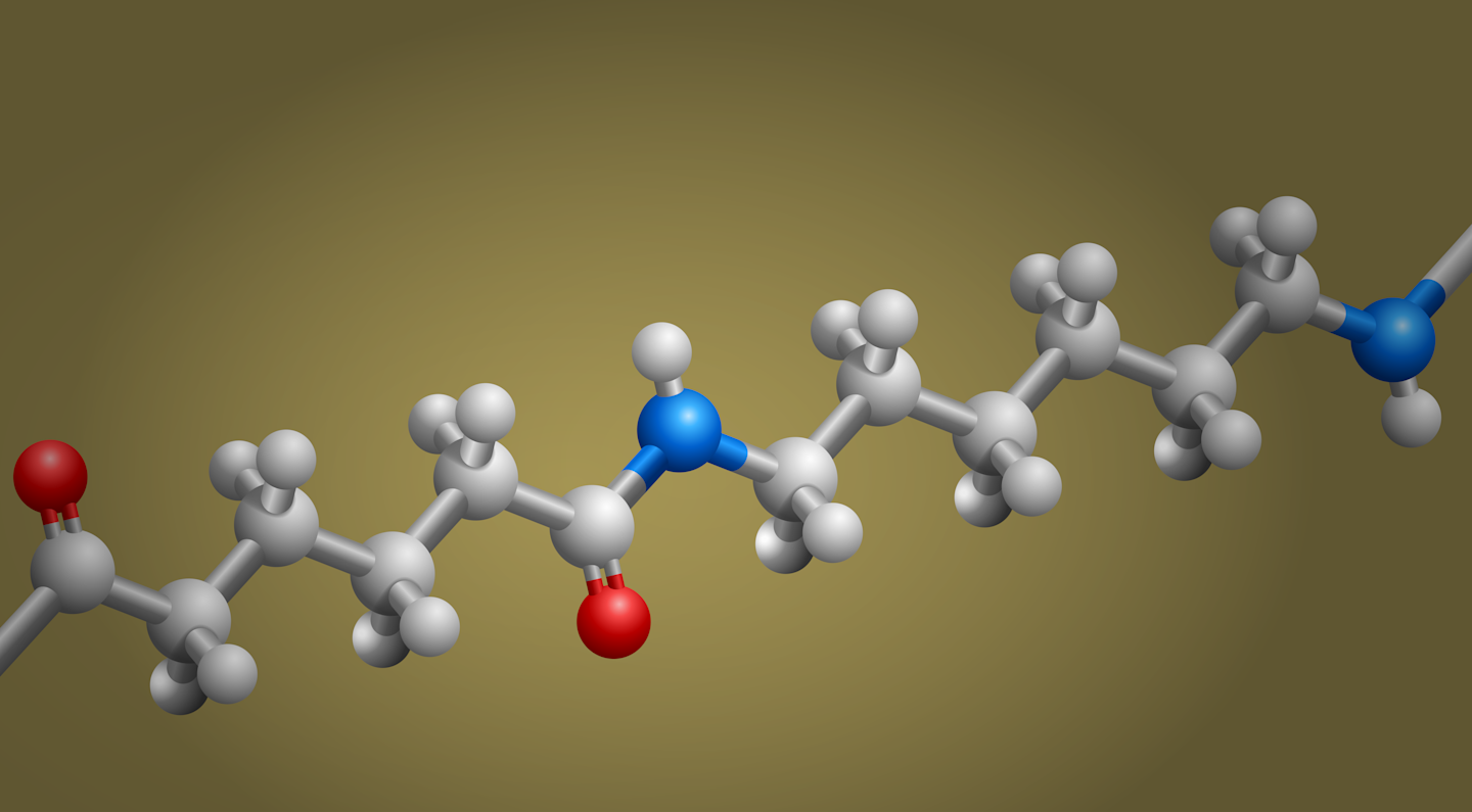 Nylon 6 & 66 General Processing Guidelines