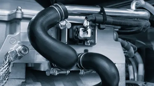 iStock-2216575792-500px iStock-2216575792-500px