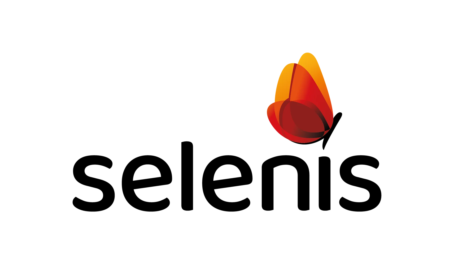 3946-selenis-logo 3946-selenis-logo