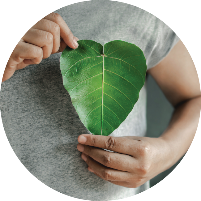 Sustainability Leaf Heart