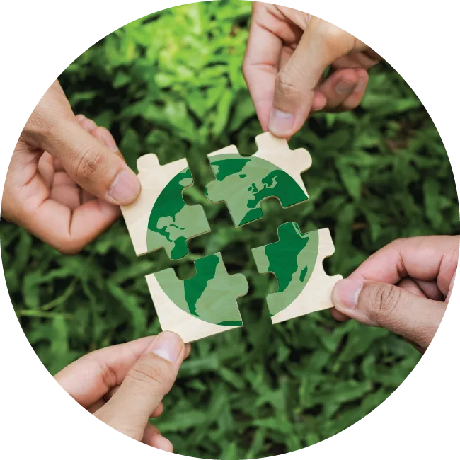 Imagen de stock de sostenibilidad Imagen de stock de sostenibilidad