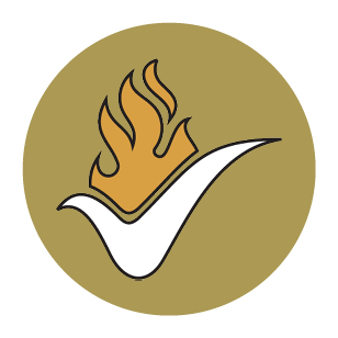 Flame Retardant Icon