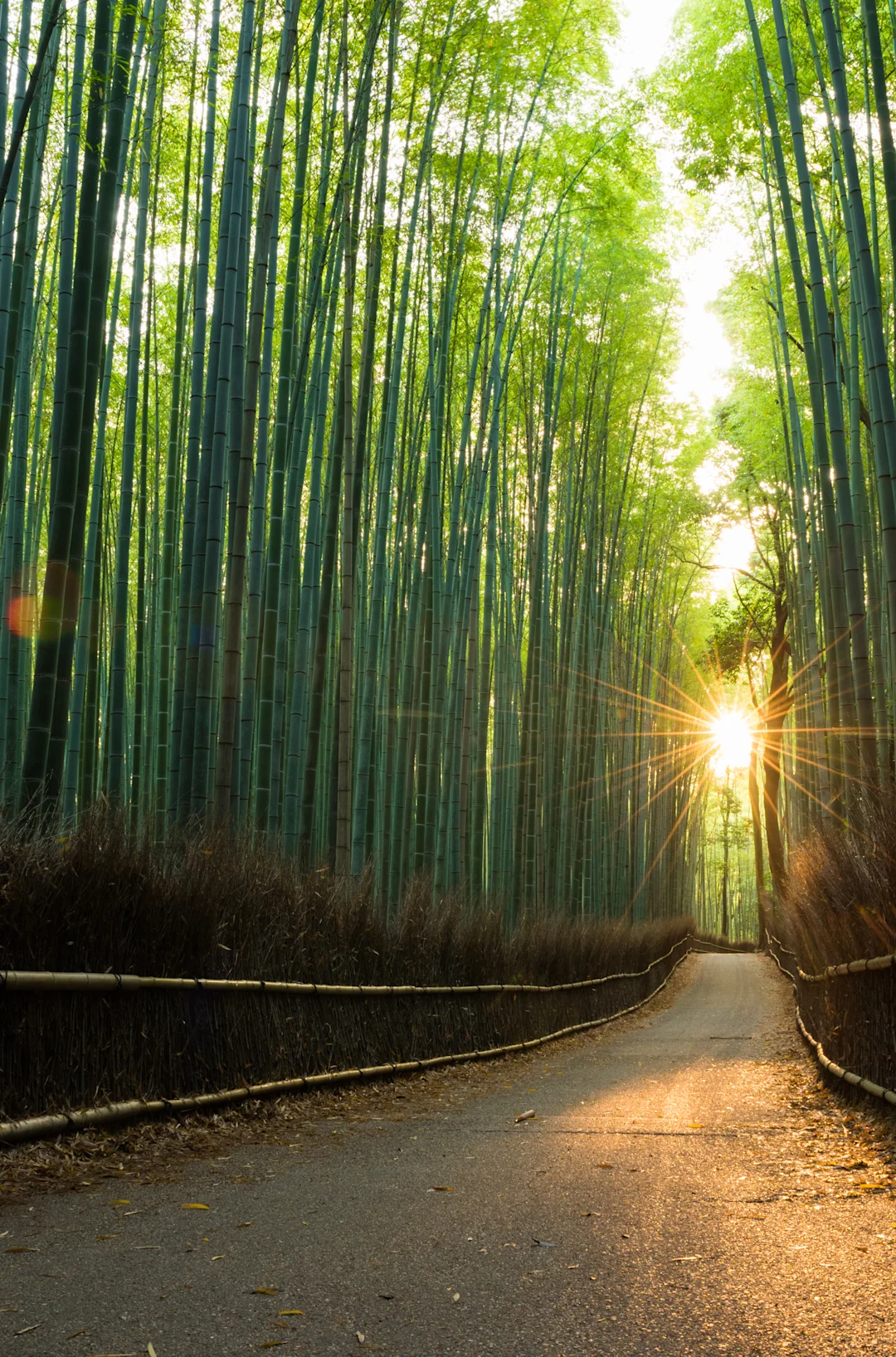 Sustainability Market Image Sustainability Market Image