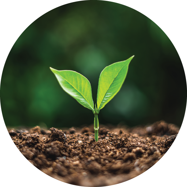 Imagen de stock: sostenibilidad