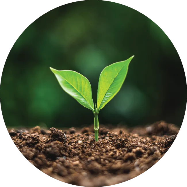 Imagen de stock: sostenibilidad Imagen de stock: sostenibilidad