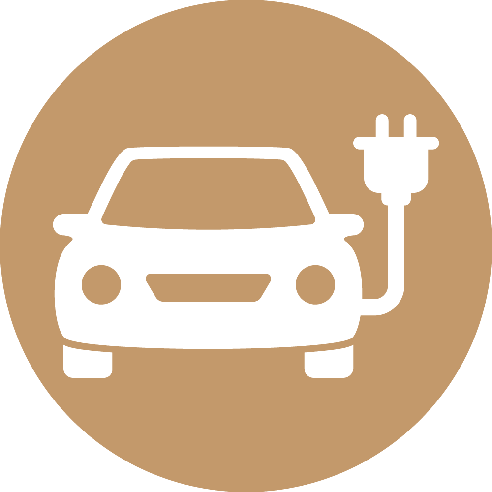 Electric Vehicle Icon
