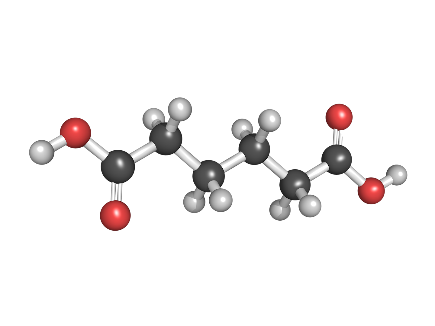 Nylon 6 vs. 6/6 Nylon 6 vs. 6/6