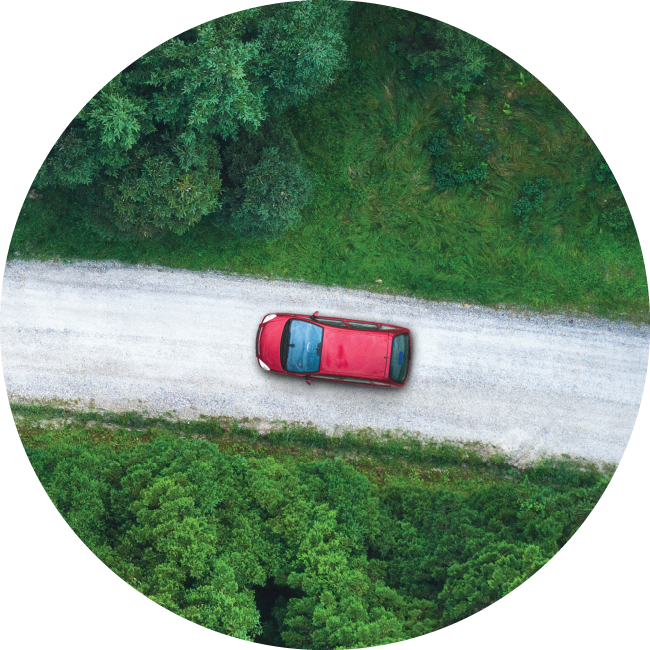 Stock image of vehicle driving through woods