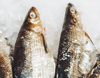 Vuoden kalakauppa 2020 on Food Market Herkku Helsinki