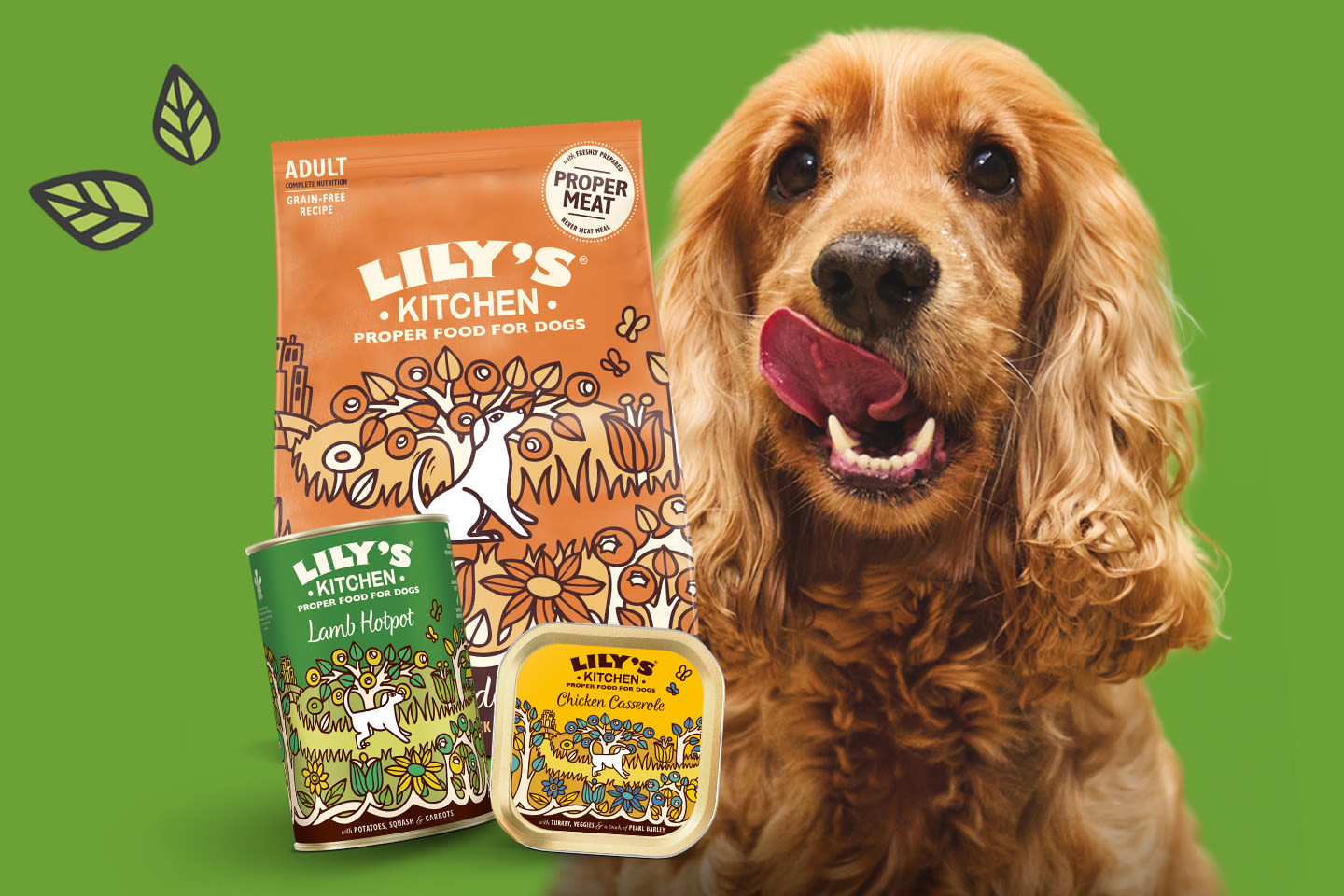 Iloinen koira vihreällä taustalla Lily's Kitchen -koiranruokatuotteiden vieressä