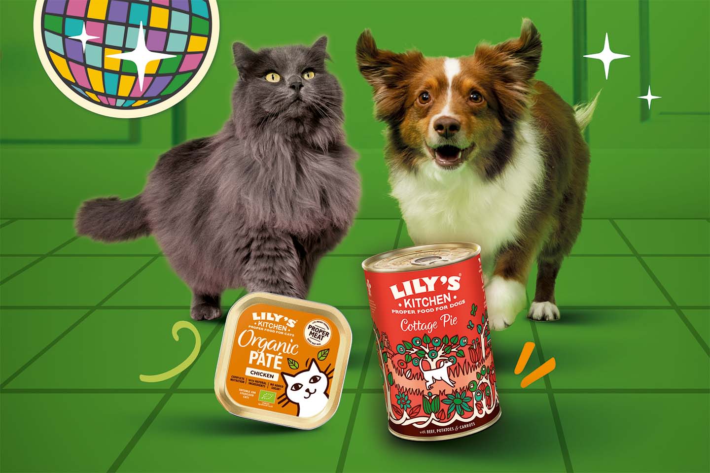 Harmaa kissa ja ruskeavalkoinen koira Lily's Kitchen -lemmikkiruokapakkausten kanssa vihreällä taustalla, jossa piirretty diskopallo ja säihkettä.