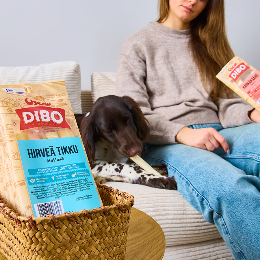 Henkilö sohvalla koiran kanssa, edessä koripöydällä DIBO-koiranherkut ja kädessä toinen herkkupussi.