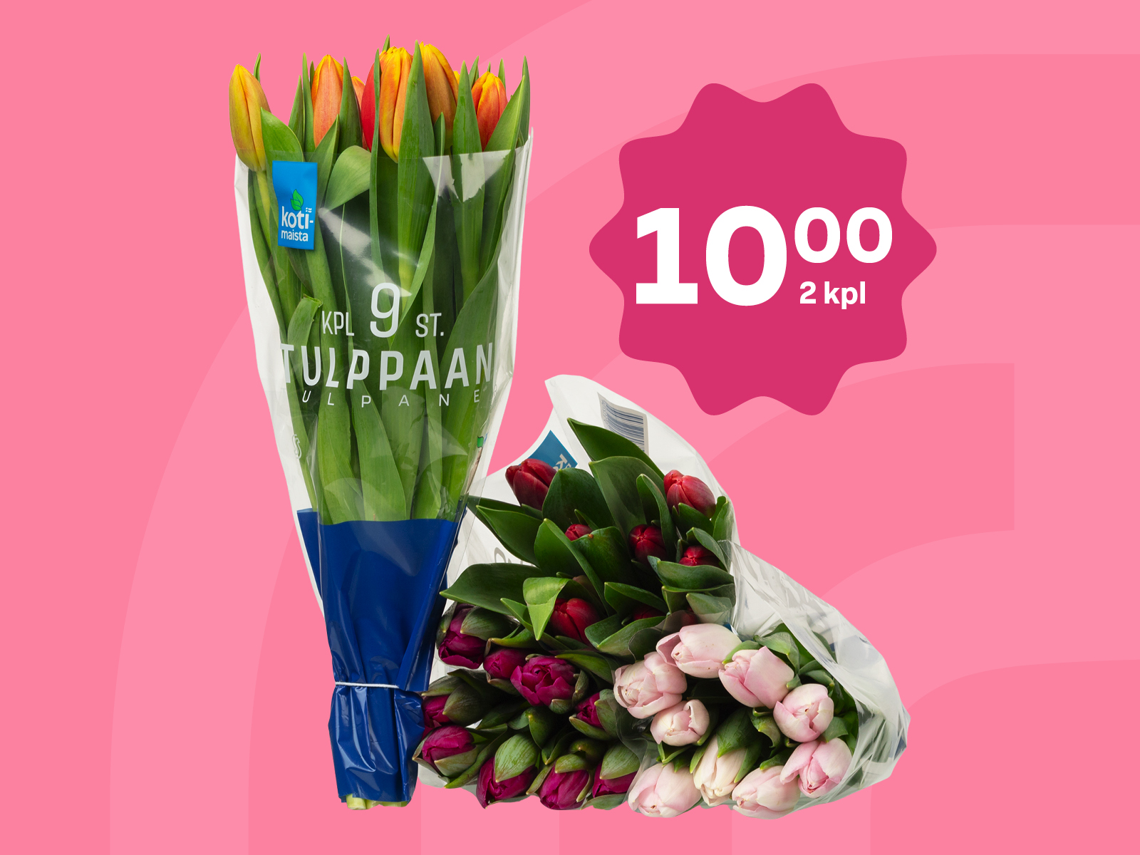 Kotimaista-tulppaanit 9 kpl