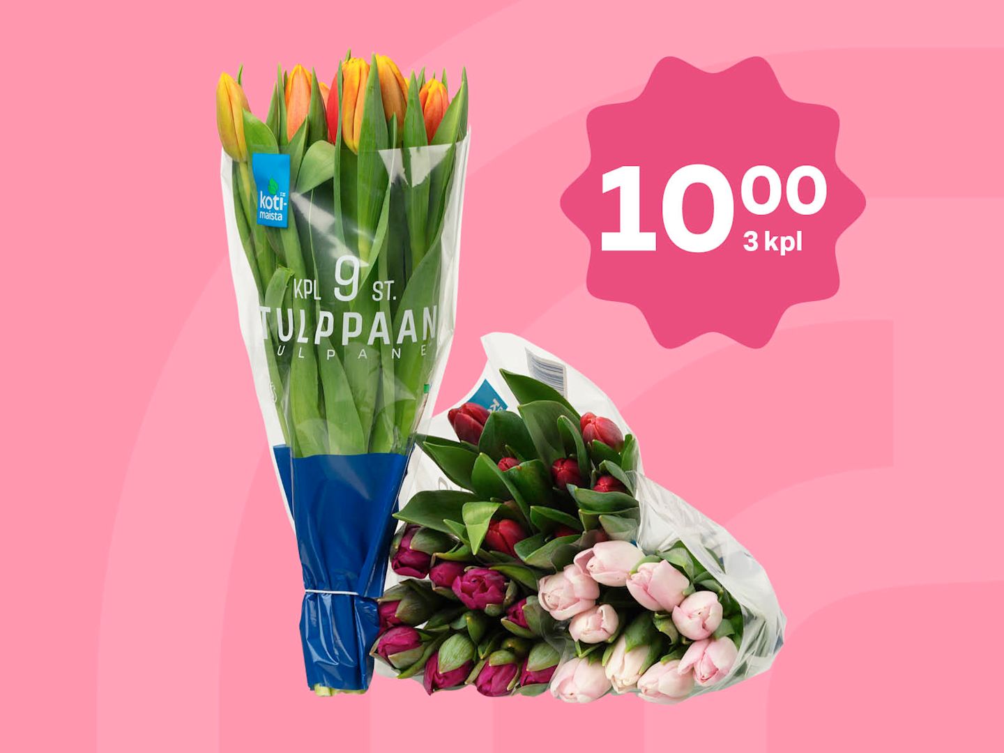 Värikkäitä tulppaaneja pakkauksissa vaaleanpunaisella taustalla, tarjoushinta 10 euroa kolmesta kimpusta.