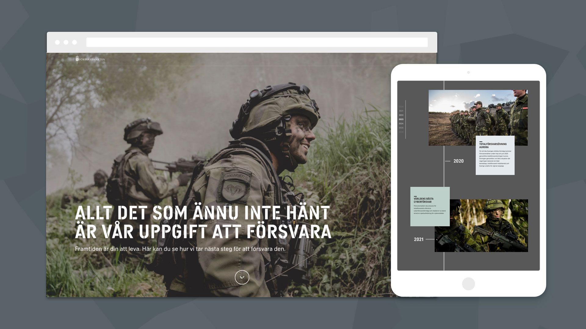 swedish-armed-forces-image-1jpeg