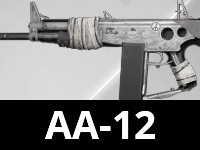AA12