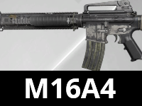 m16