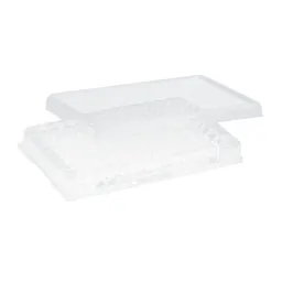 Micro test plate, 96 well, slip-on lid, base shape: conical, PS, transparent