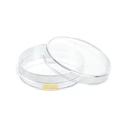 Tissue culture dish, (ØxH): 60 x 15 mm, surface: Cell+