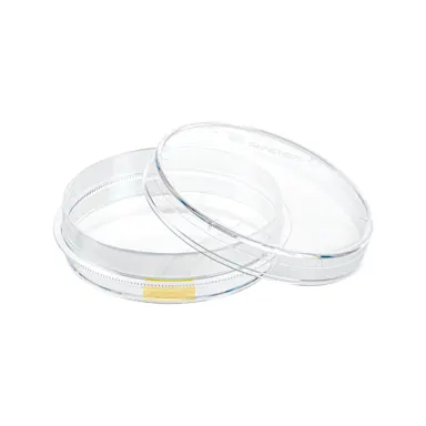 Tissue culture dish, (ØxH): 60 x 15 mm, surface: Cell+
