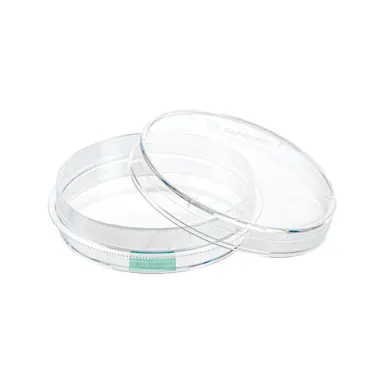 Tissue culture dish, (ØxH): 60 x 15 mm, surface: Suspension