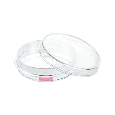 Tissue culture dish, (ØxH): 60 x 15 mm, surface: Standard
