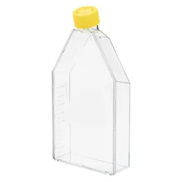 Cell culture flask, T-175, surface: Cell+, filter cap