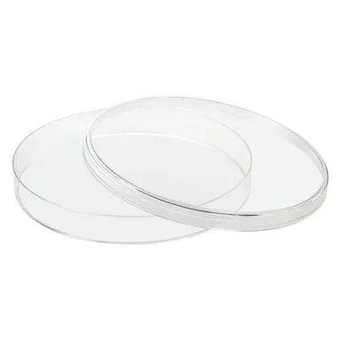 Petri dish, 150 x 20 mm, transparent, with ventilation cams