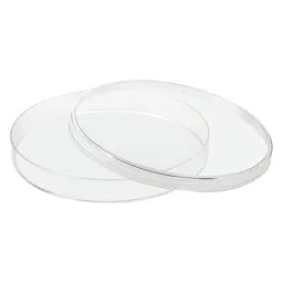 Petri dish, 150 x 20 mm, transparent, with ventilation cams