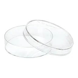 Petri dish, 60 x 15 mm, transparent, with ventilation cams