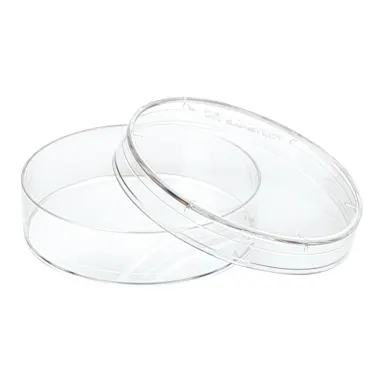 Petri dish, 60 x 15 mm, transparent, with ventilation cams