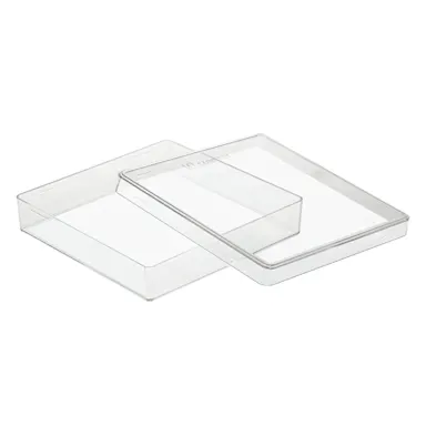 Petri dish, 100 x 100 x 20 mm, transparent, without ventilation cams
