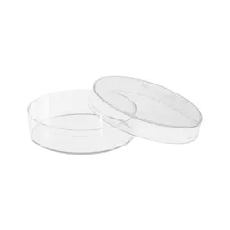 Petri dish, 54.65 x 14.7 mm, transparent, without ventilation cams