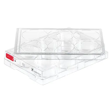 Cell culture plate, 6 well, surface: Standard, flat base
