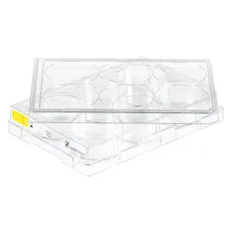 Cell culture plate, 6 well, surface: Cell+, flat base