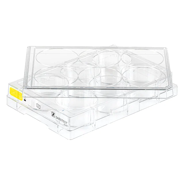 Cell culture plate, 6 well, surface: Cell+, flat base