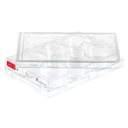 Cell culture plate, 6 well, surface: Standard, flat base
