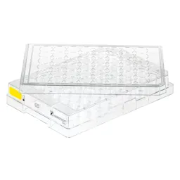 Cell culture plate, 48 well, surface: Cell+, flat base