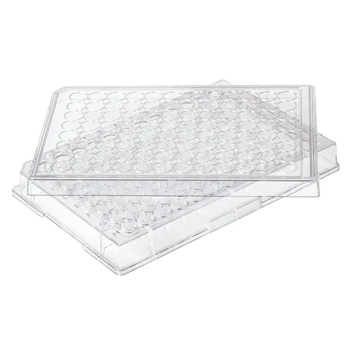 BIOFLOAT™ 細胞培養プレート、スフェロイド培養